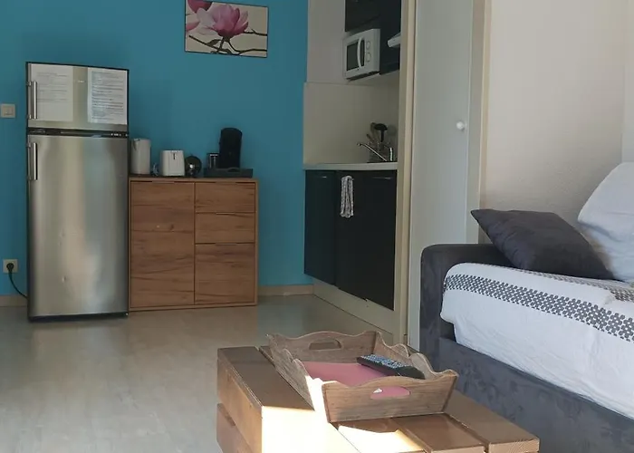 Les Terrasses Du Piscine A4 *